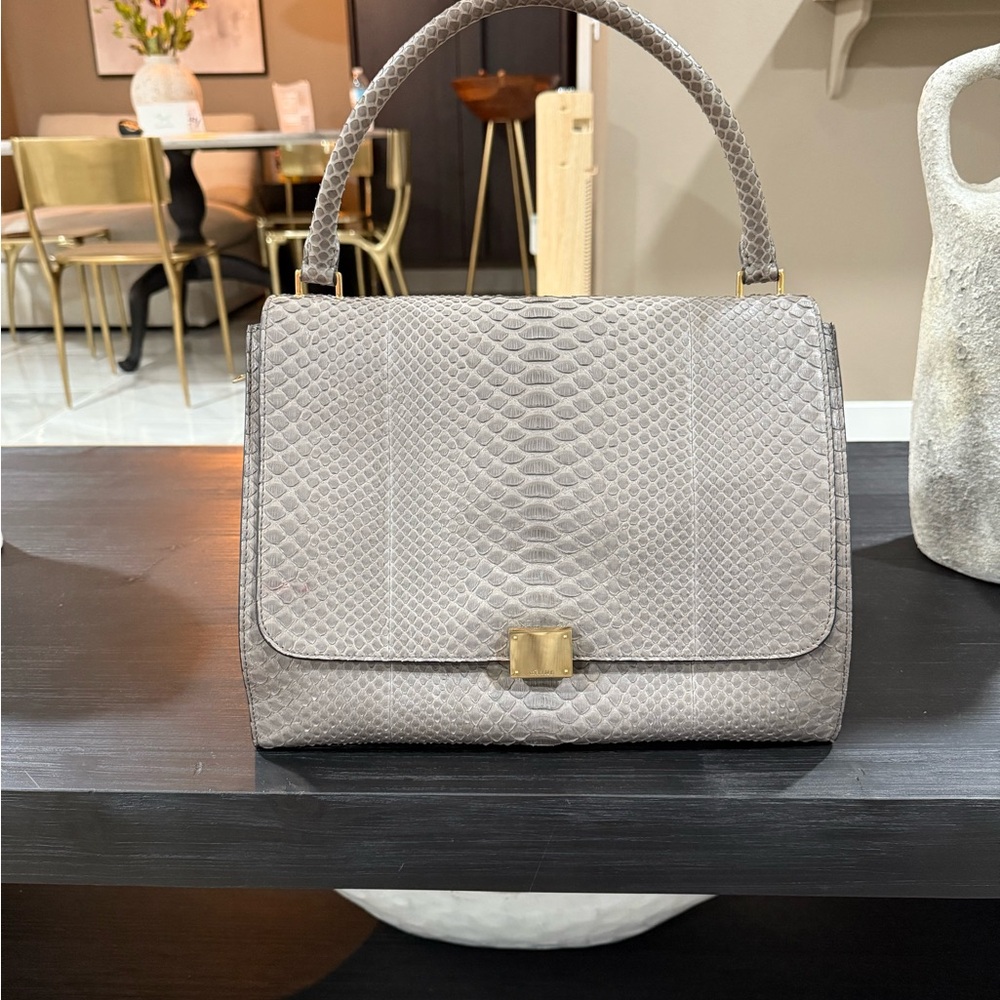 Celine Gray Snakeskin Satchel